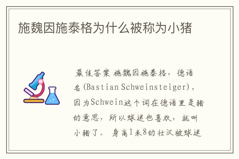 施魏因施泰格为什么被称为小猪