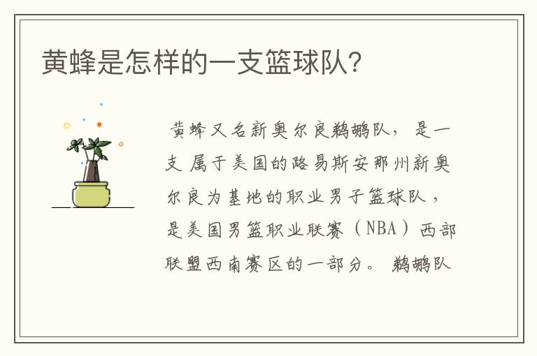 黄蜂是怎样的一支篮球队?