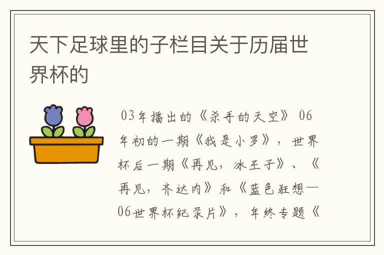 天下足球里的子栏目关于历届世界杯的