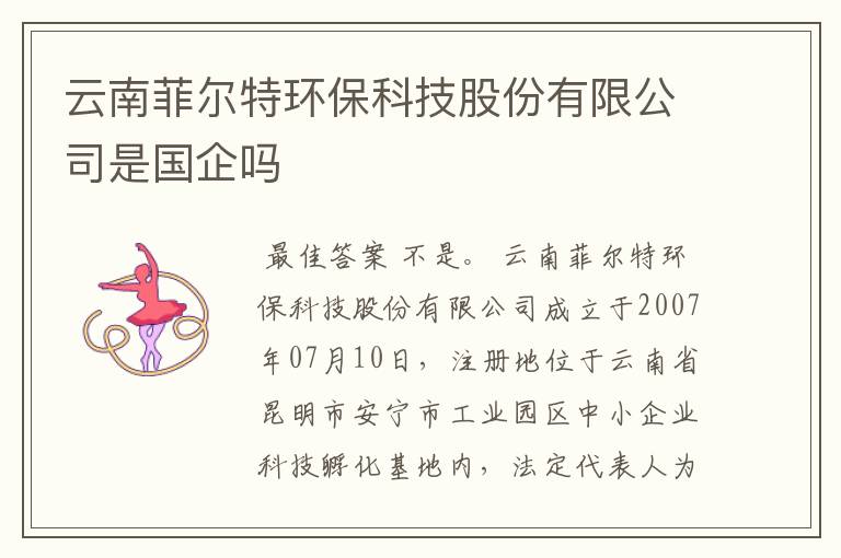 云南菲尔特环保科技股份有限公司是国企吗