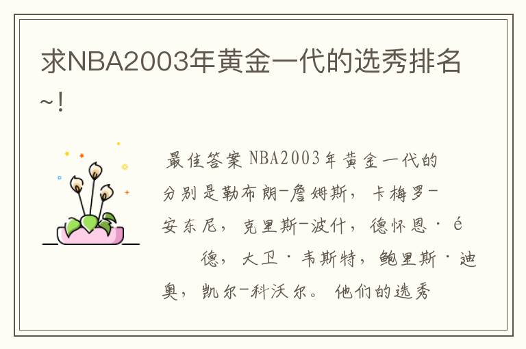求NBA2003年黄金一代的选秀排名~!