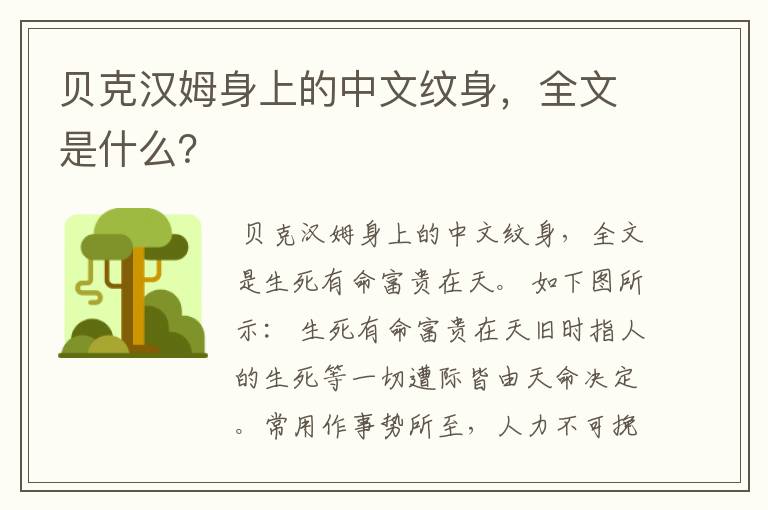 贝克汉姆身上的中文纹身,全文是什么?