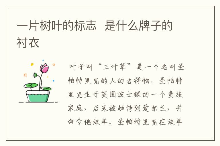 一片树叶的标志 是什么牌子的衬衣
