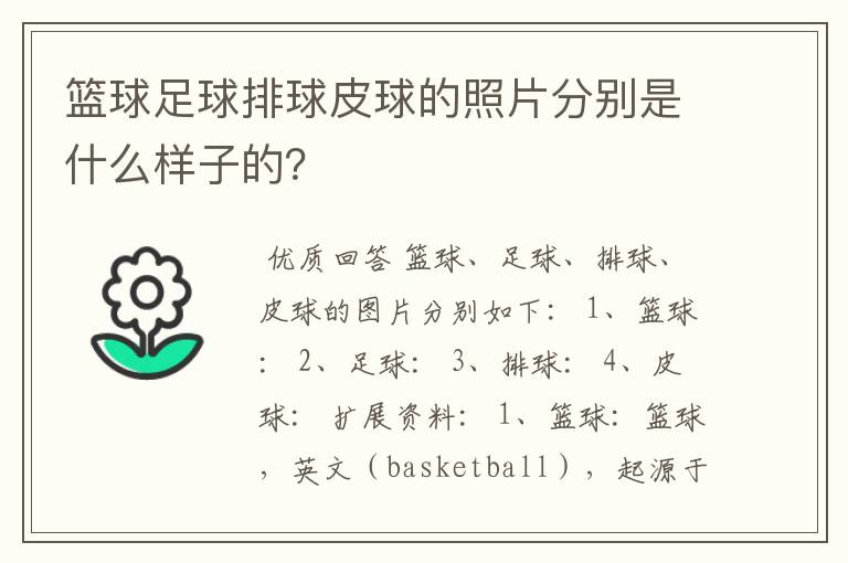 篮球足球排球皮球的照片分别是什么样子的?