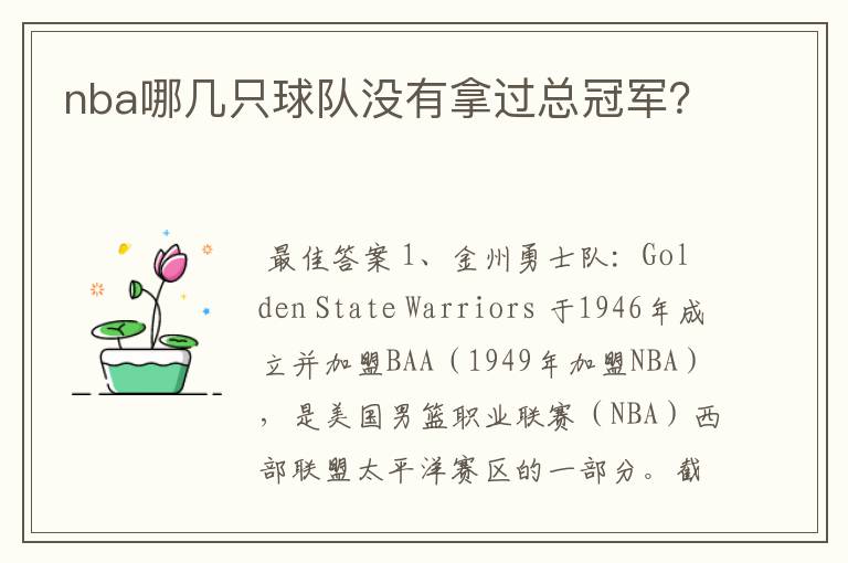 nba哪几只球队没有拿过总冠军?