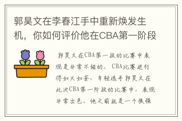 郭昊文在李春江手中重新焕发生机,你如何评价他在CBA第一阶段的表现?