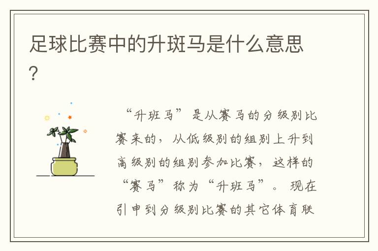 足球比赛中的升斑马是什么意思?