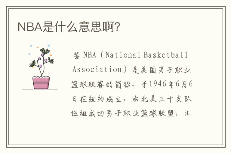 NBA是什么意思啊?