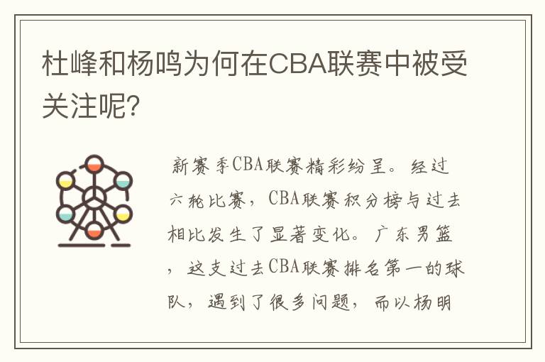杜峰和杨鸣为何在CBA联赛中被受关注呢?