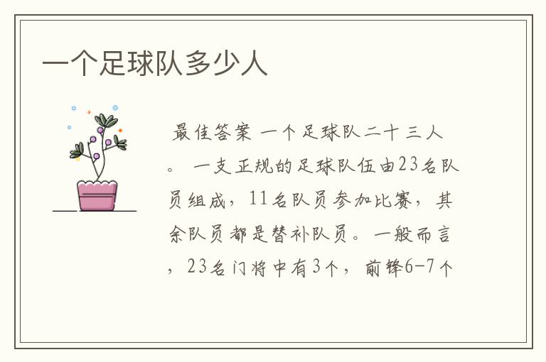 一个足球队多少人
