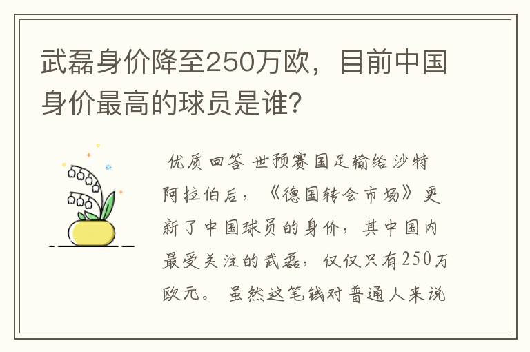 武磊身价降至250万欧,目前中国身价最高的球员是谁?