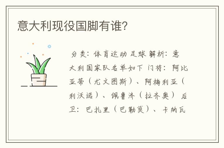 意大利现役国脚有谁?