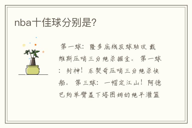 nba十佳球分别是?