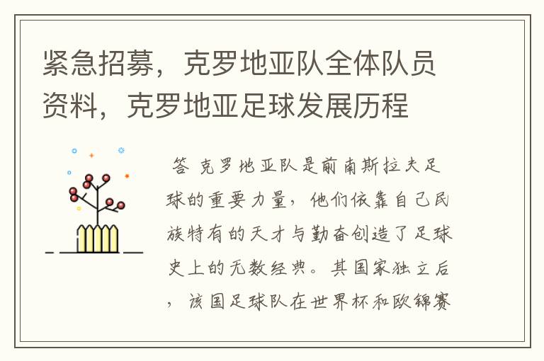 紧急招募,克罗地亚队全体队员资料,克罗地亚足球发展历程