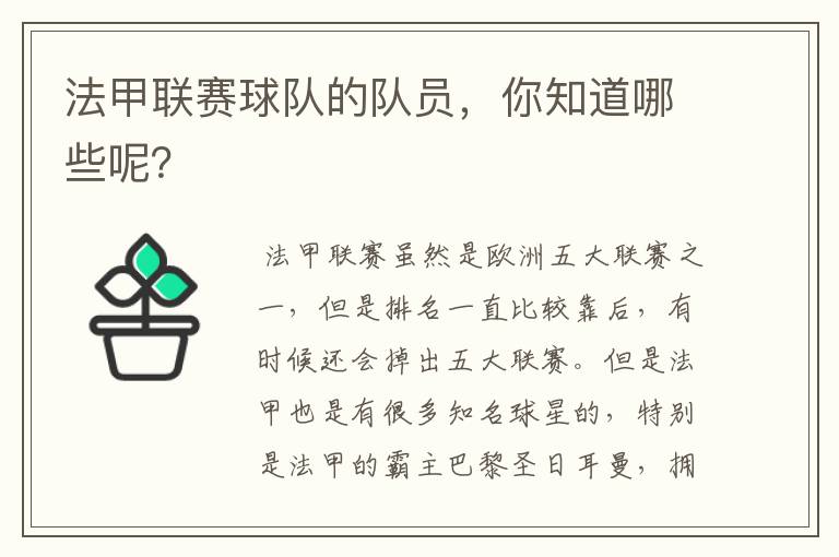 法甲联赛球队的队员,你知道哪些呢?