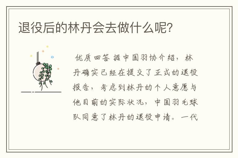 退役后的林丹会去做什么呢?