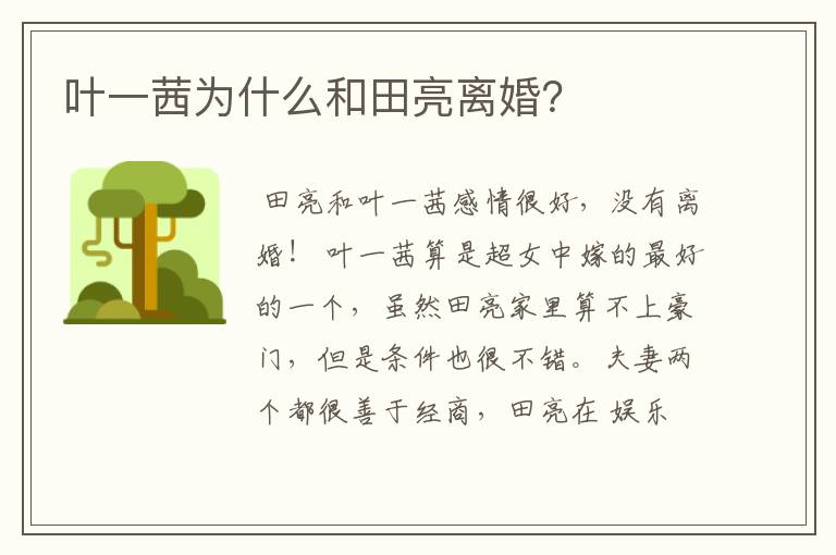 叶一茜为什么和田亮离婚?