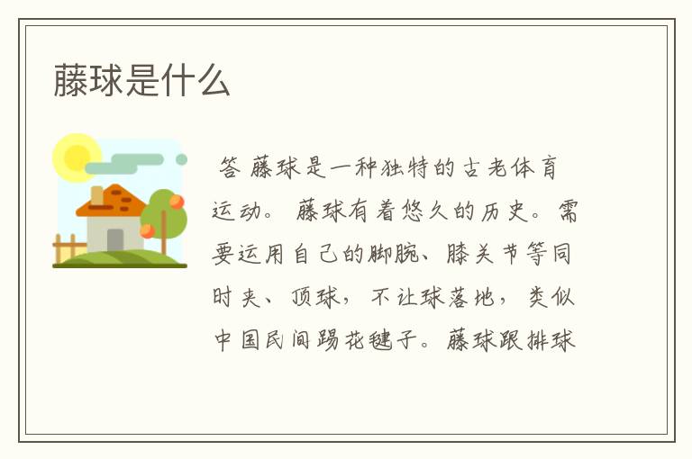 藤球是什么