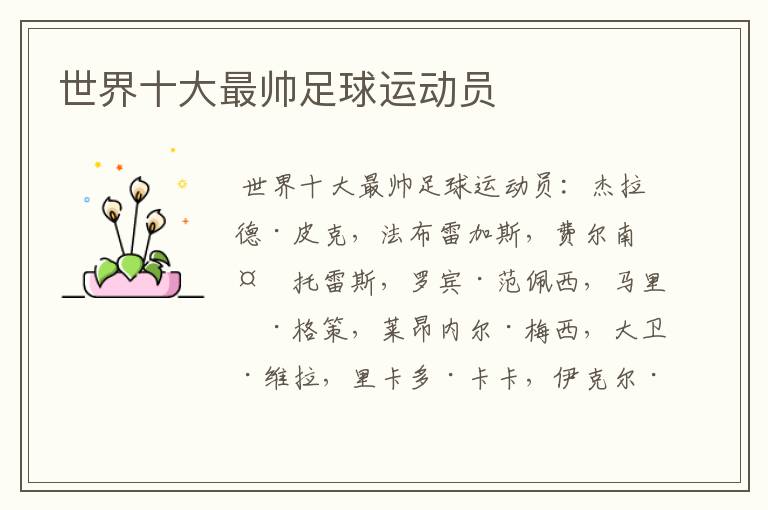 世界十大最帅足球运动员