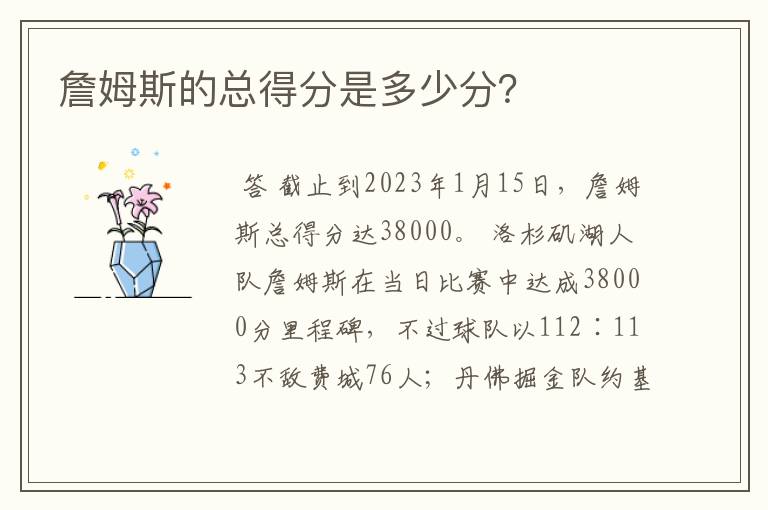 詹姆斯的总得分是多少分?