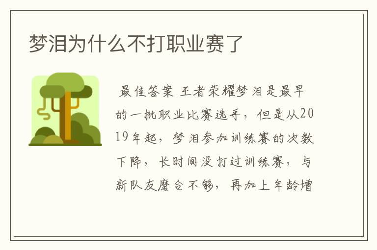 梦泪为什么不打职业赛了