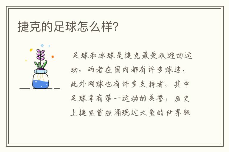 捷克的足球怎么样?