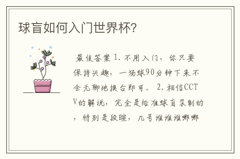 球盲如何入门世界杯?