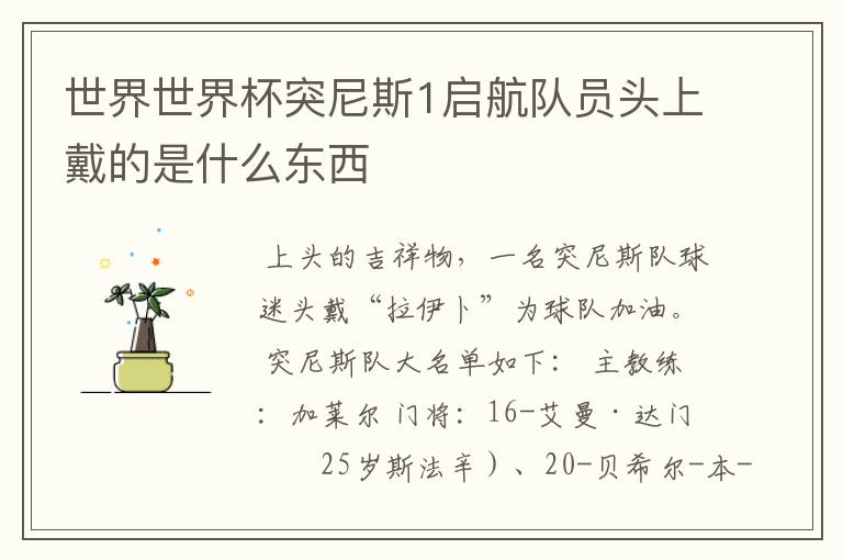 世界世界杯突尼斯1启航队员头上戴的是什么东西