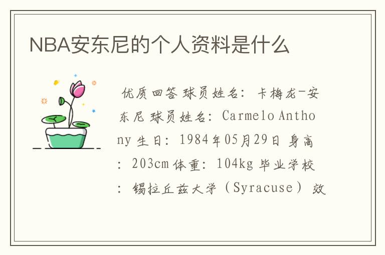 NBA安东尼的个人资料是什么