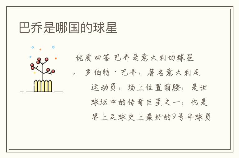 巴乔是哪国的球星