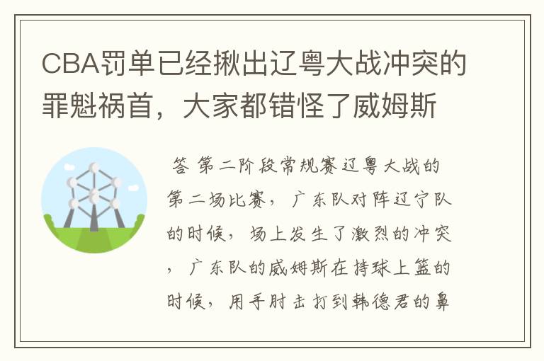 CBA罚单已经揪出辽粤大战冲突的罪魁祸首,大家都错怪了威姆斯