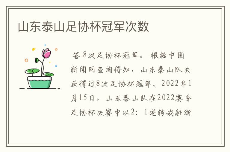 山东泰山足协杯冠军次数