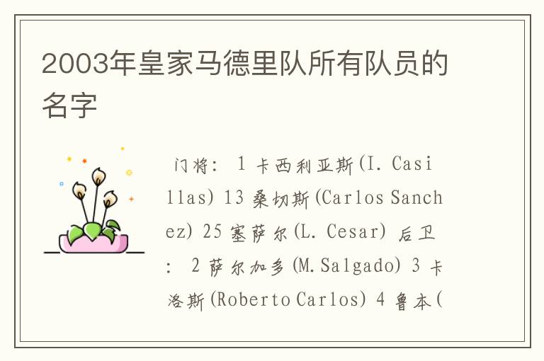 2003年皇家马德里队所有队员的名字