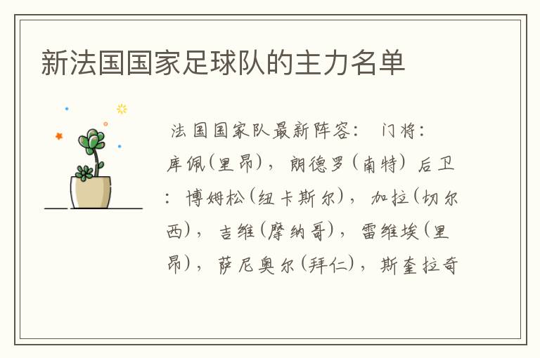 新法国国家足球队的主力名单