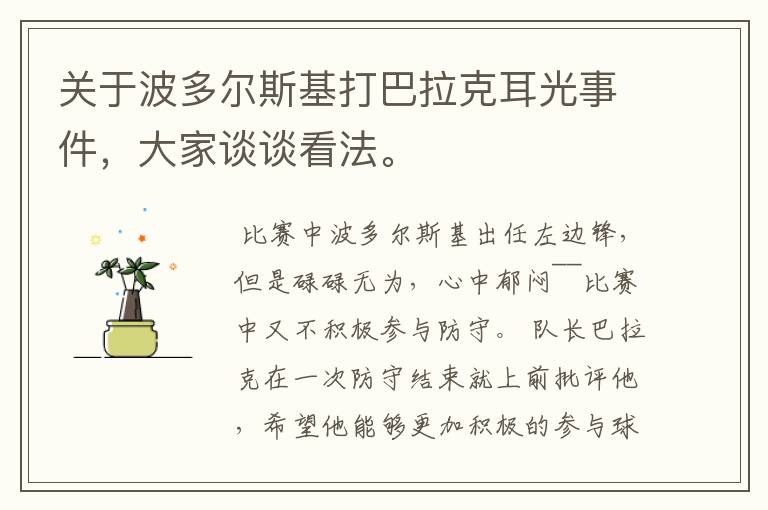 关于波多尔斯基打巴拉克耳光事件,大家谈谈看法。