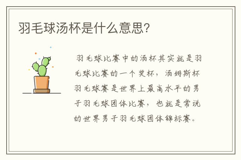羽毛球汤杯是什么意思?