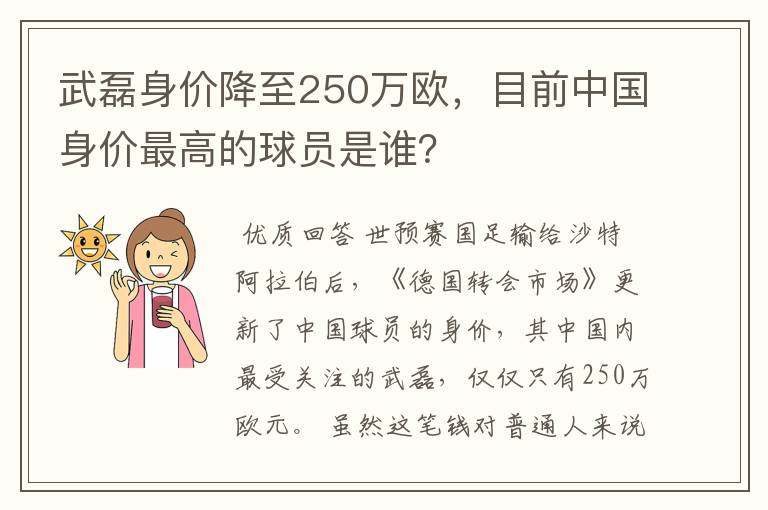 武磊身价降至250万欧,目前中国身价最高的球员是谁?