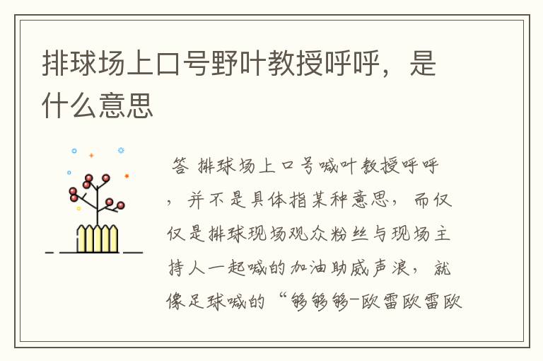 排球场上口号野叶教授呼呼,是什么意思