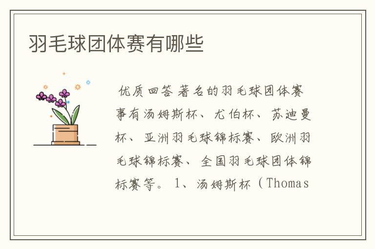 羽毛球团体赛有哪些
