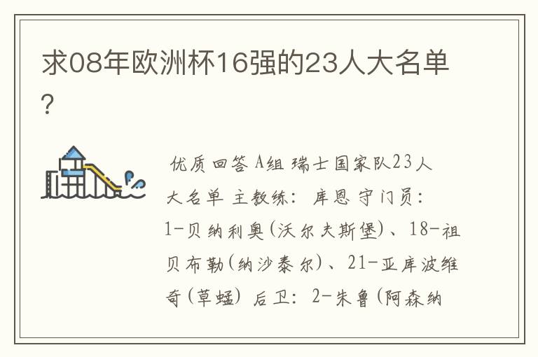 求08年欧洲杯16强的23人大名单?