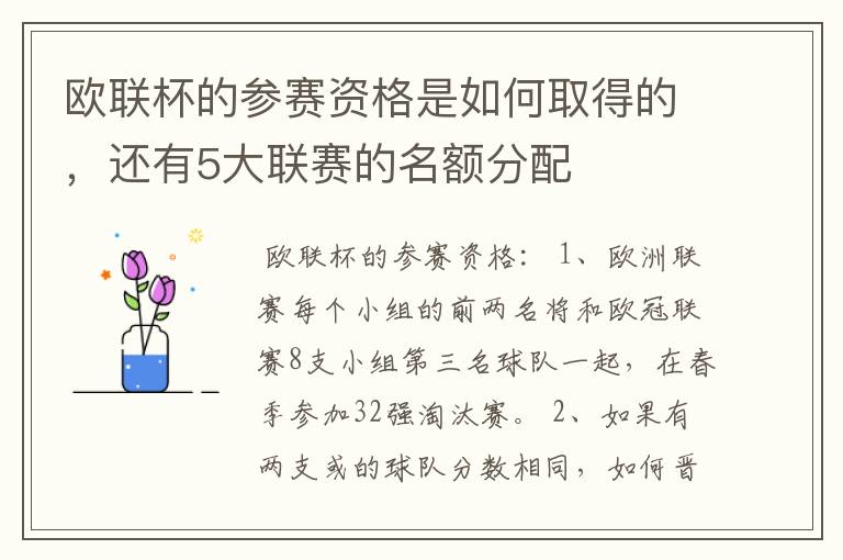 欧联杯的参赛资格是如何取得的,还有5大联赛的名额分配