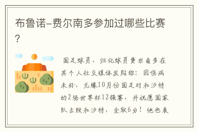 布鲁诺-费尔南多参加过哪些比赛?