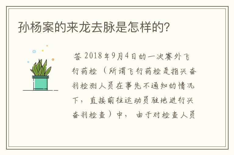 孙杨案的来龙去脉是怎样的?