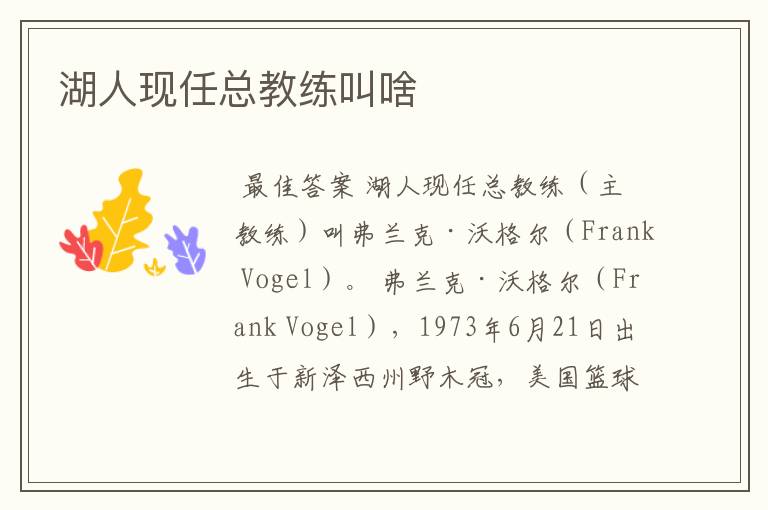 湖人现任总教练叫啥