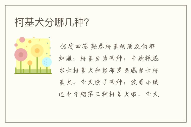 柯基犬分哪几种?