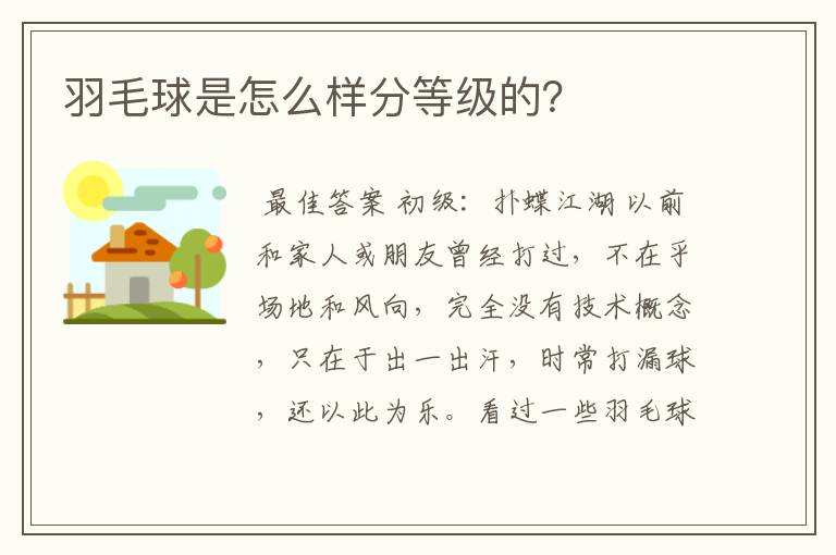 羽毛球是怎么样分等级的?