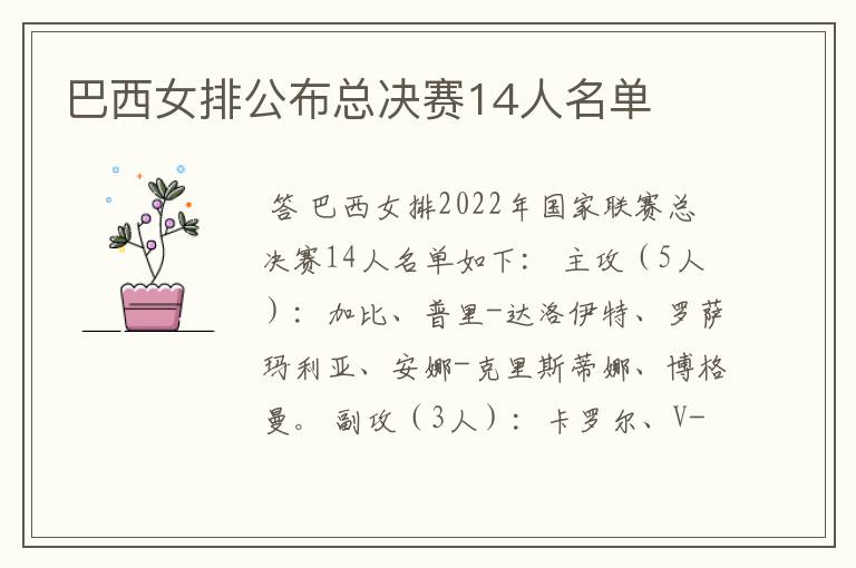 巴西女排公布总决赛14人名单