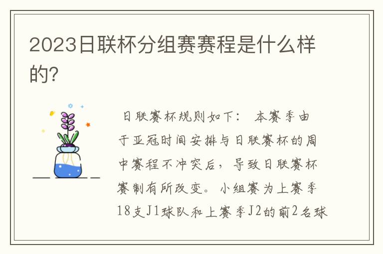 2023日联杯分组赛赛程是什么样的?