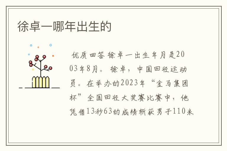 徐卓一哪年出生的