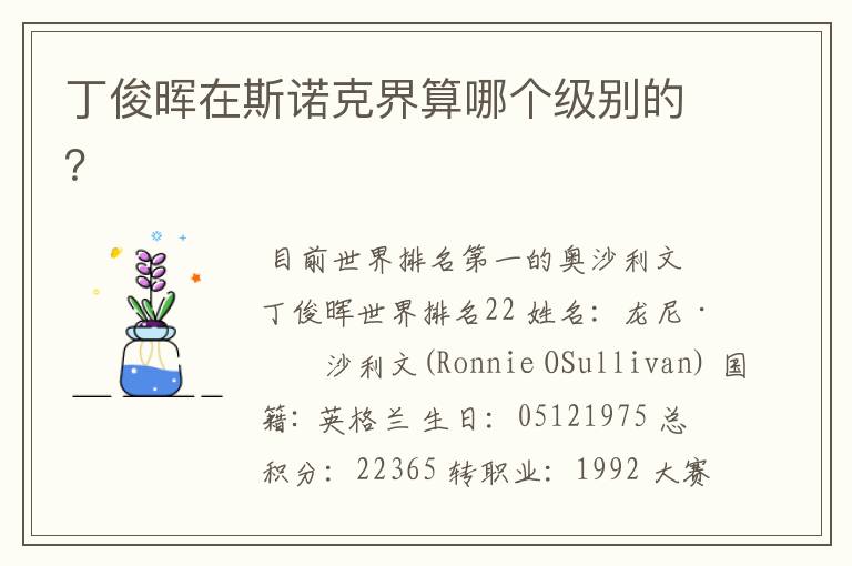 丁俊晖在斯诺克界算哪个级别的?